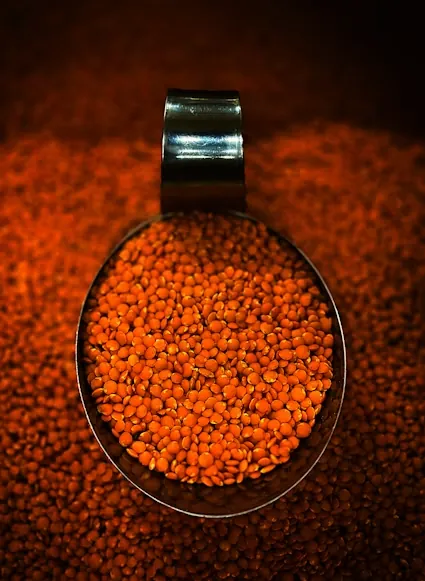 Scoop of red lentils resting on a bed of pulses